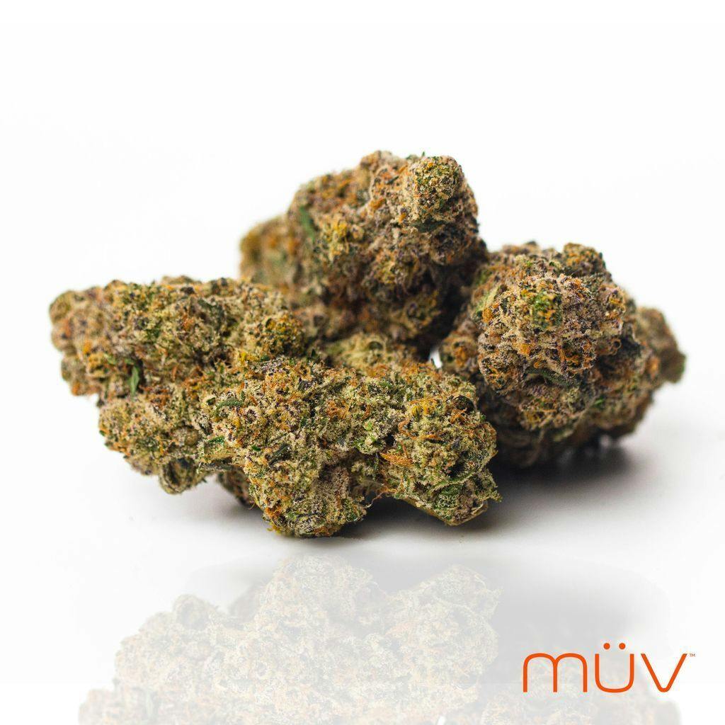 MÜV Cannabis Infused Products - MUV Flower - 3.5g - Cherry on Top - 1