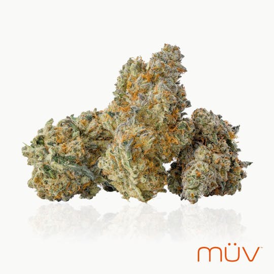 MÜV Cannabis Infused Products - MUV Flower - 3.5g - Applescotti - 1