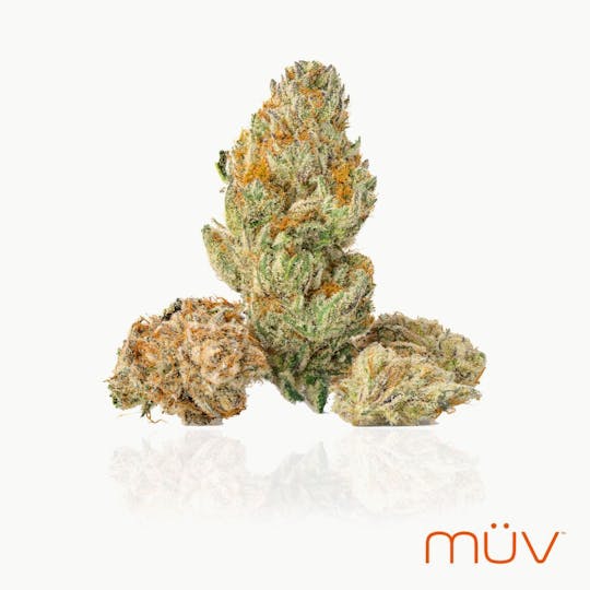 MÜV Cannabis Infused Products - MUV Flower - 3.5g - Cromagnon Man - 1