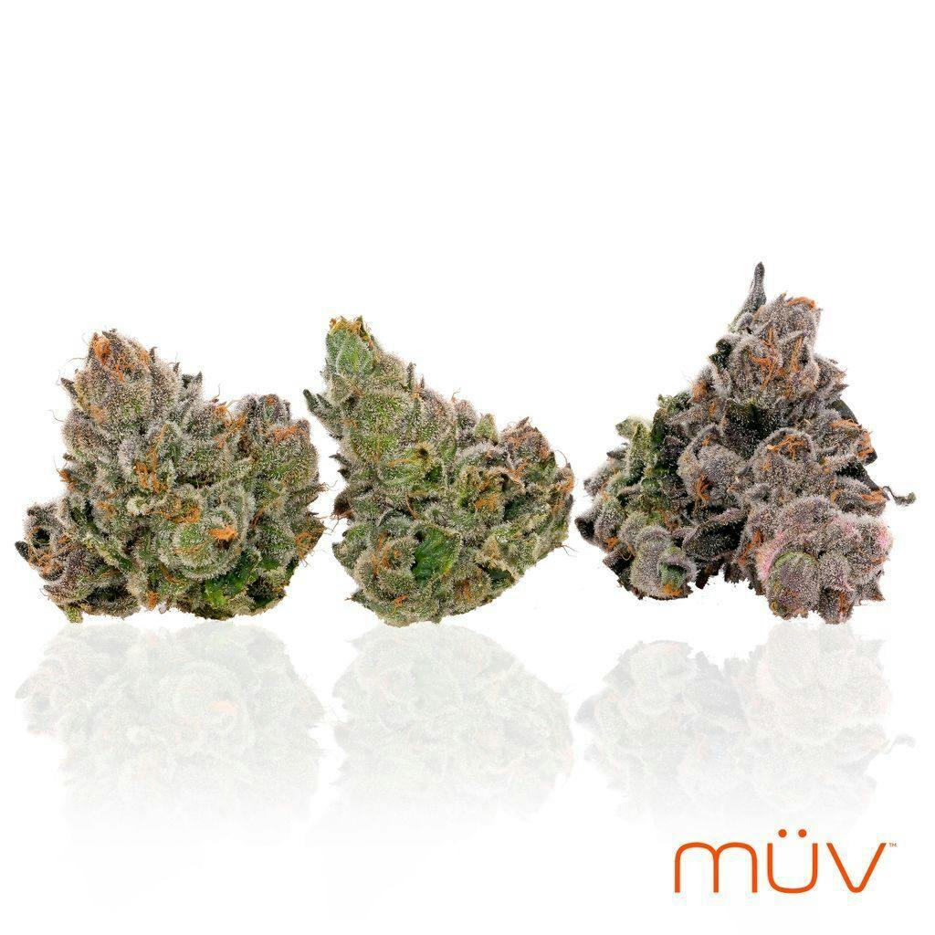 MÜV Cannabis Infused Products - MUV Flower - 3.5g - Dosilato - 1