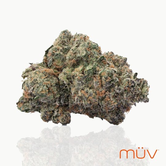 MÜV Cannabis Infused Products - MUV Flower - 3.5g - Forum x Blue Velvet - 1