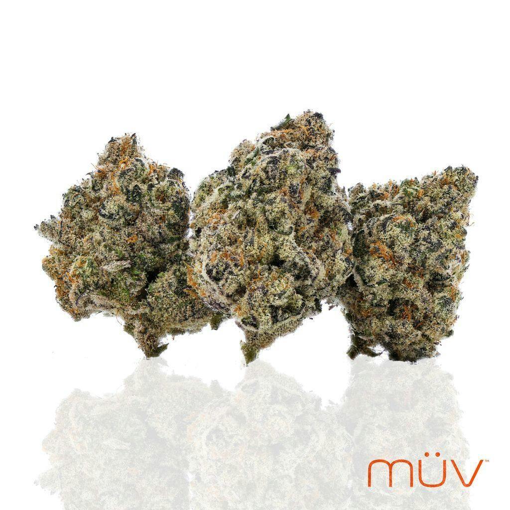 MÜV Cannabis Infused Products - MUV Flower - 3.5g - Gascotti - 1