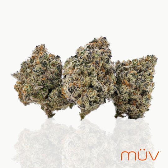 MÜV Cannabis Infused Products - MUV Flower - 3.5g - Gascotti - 1