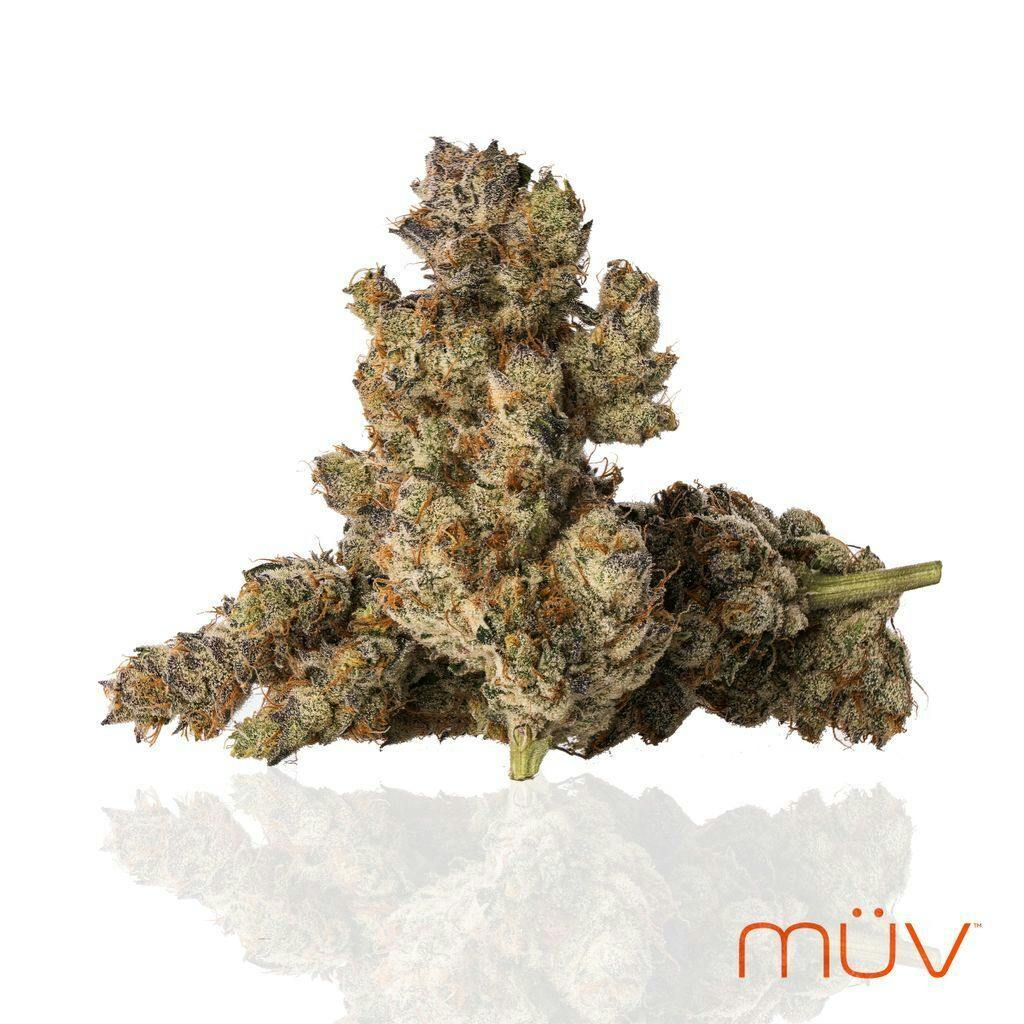 MÜV Cannabis Infused Products - MUV Flower - 3.5g - Gelanoidz - 1