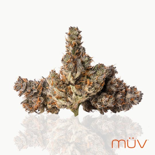 MÜV Cannabis Infused Products - MUV Flower - 3.5g - Gelanoidz #9 - 1