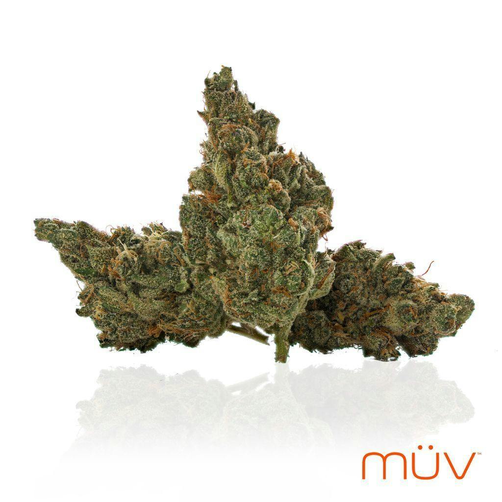 MÜV Cannabis Infused Products - MUV Flower - 3.5g - GMO x Jungle Cake - 1