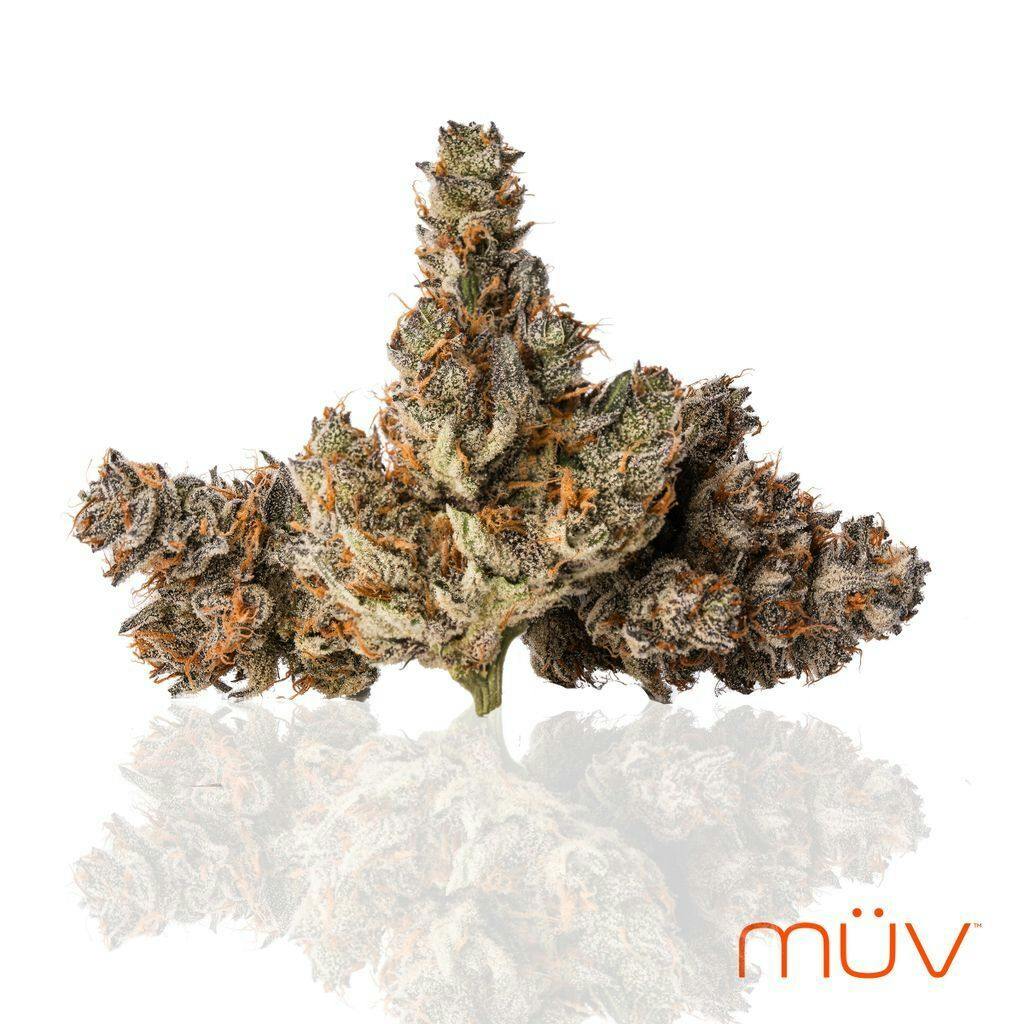 MÜV Cannabis Infused Products - MUV Flower - 3.5g - Gelanoidz #4 - 1