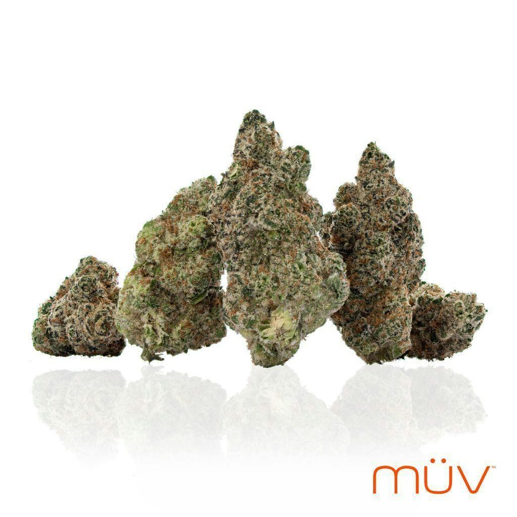 MÜV Cannabis Infused Products - MUV Flower - 3.5g - Gator Breath - 1