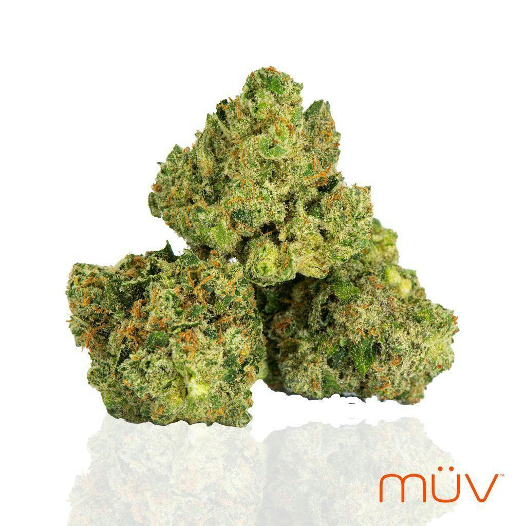MÜV Cannabis Infused Products - MUV Flower - 3.5g - Gelato - 1