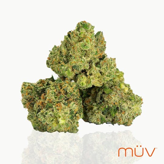 MÜV Cannabis Infused Products - MUV Flower - 3.5g - Gelato - 1