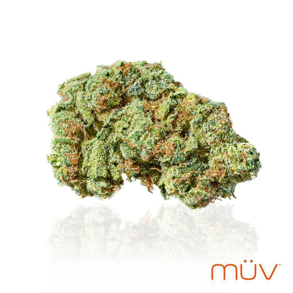 MÜV Cannabis Infused Products - MUV Flower - 3.5g - LA Runtz - 1