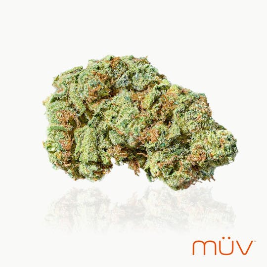 MÜV Cannabis Infused Products - MUV Flower - 3.5g - LA Runtz - 1