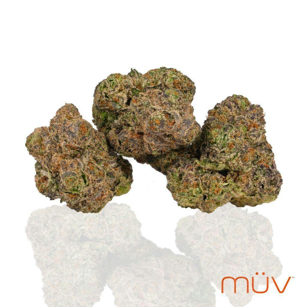 MÜV Cannabis Infused Products - MUV Flower - 3.5g - Rotten Teeth - 1