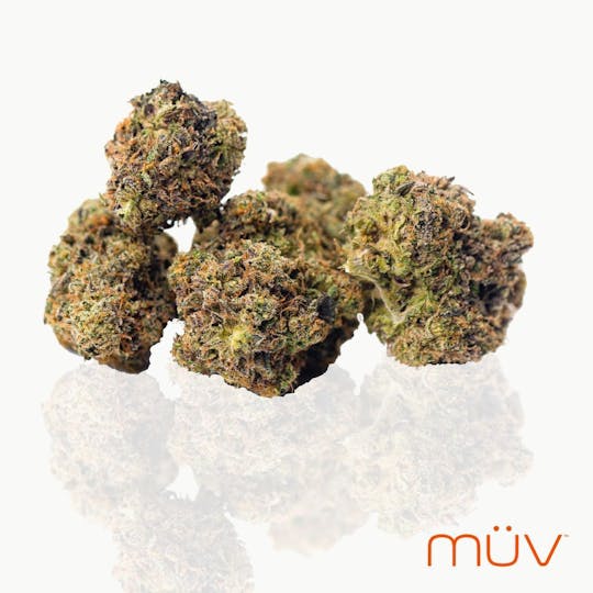 MÜV Cannabis Infused Products - MUV Flower - 3.5g - Sweet Apple Crumble Pie - 1