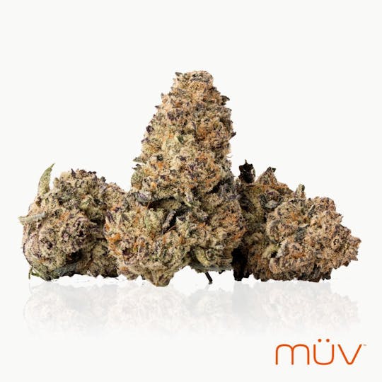 MÜV Cannabis Infused Products - MUV Flower - 3.5g - Purple Punch - 1