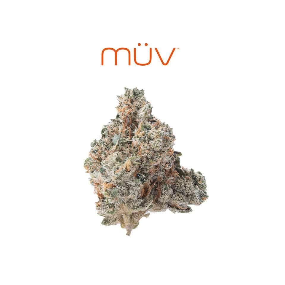 MÜV Cannabis Infused Products - MUV Flower - 3.5g - Sapphire Kush - 1
