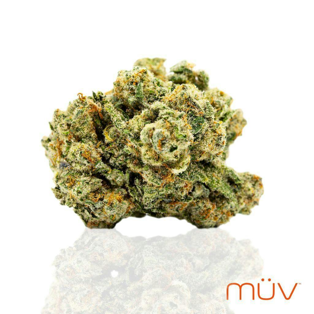 MÜV Cannabis Infused Products - MUV Flower - 3.5g - Tringle Kush - 1