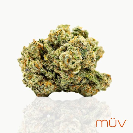 MÜV Cannabis Infused Products - MUV Flower - 3.5g - Tringle Kush - 1