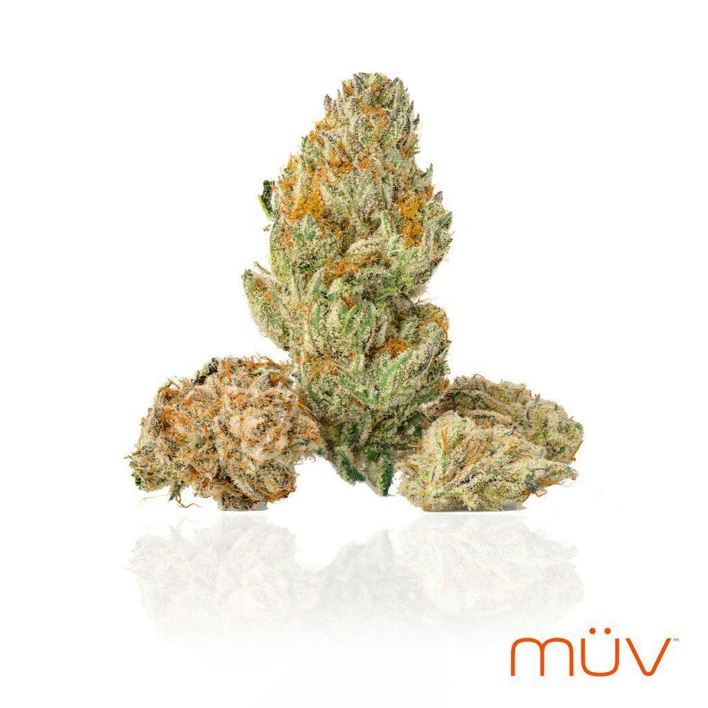 MÜV Cannabis Infused Products - MUV Flower - 7g - Cromagnon Man - 1