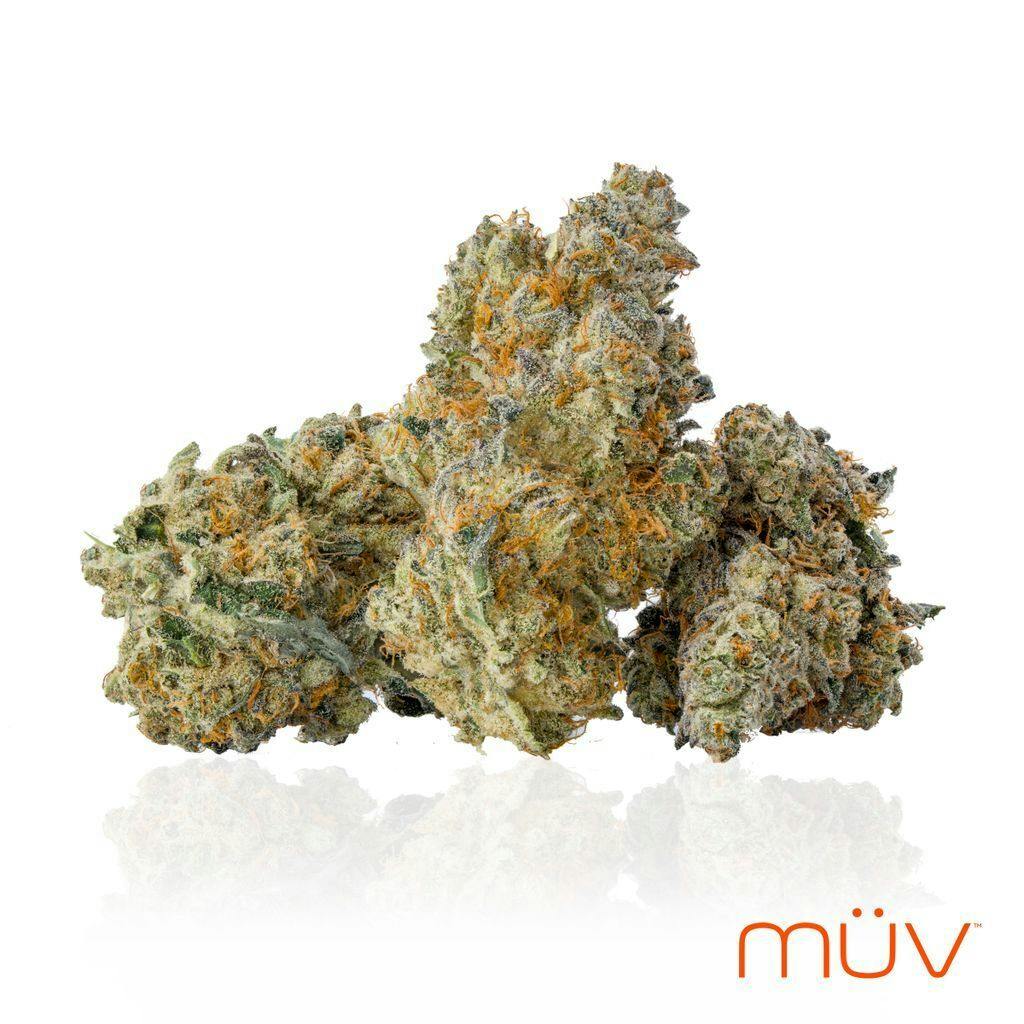 MÜV Cannabis Infused Products - MUV Flower - 7g - Applescotti - 1