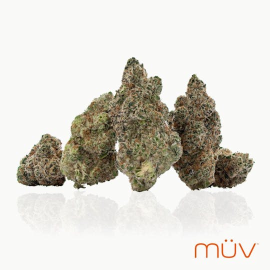 MÜV Cannabis Infused Products - MUV Flower - 7g - Gator Breath - 1