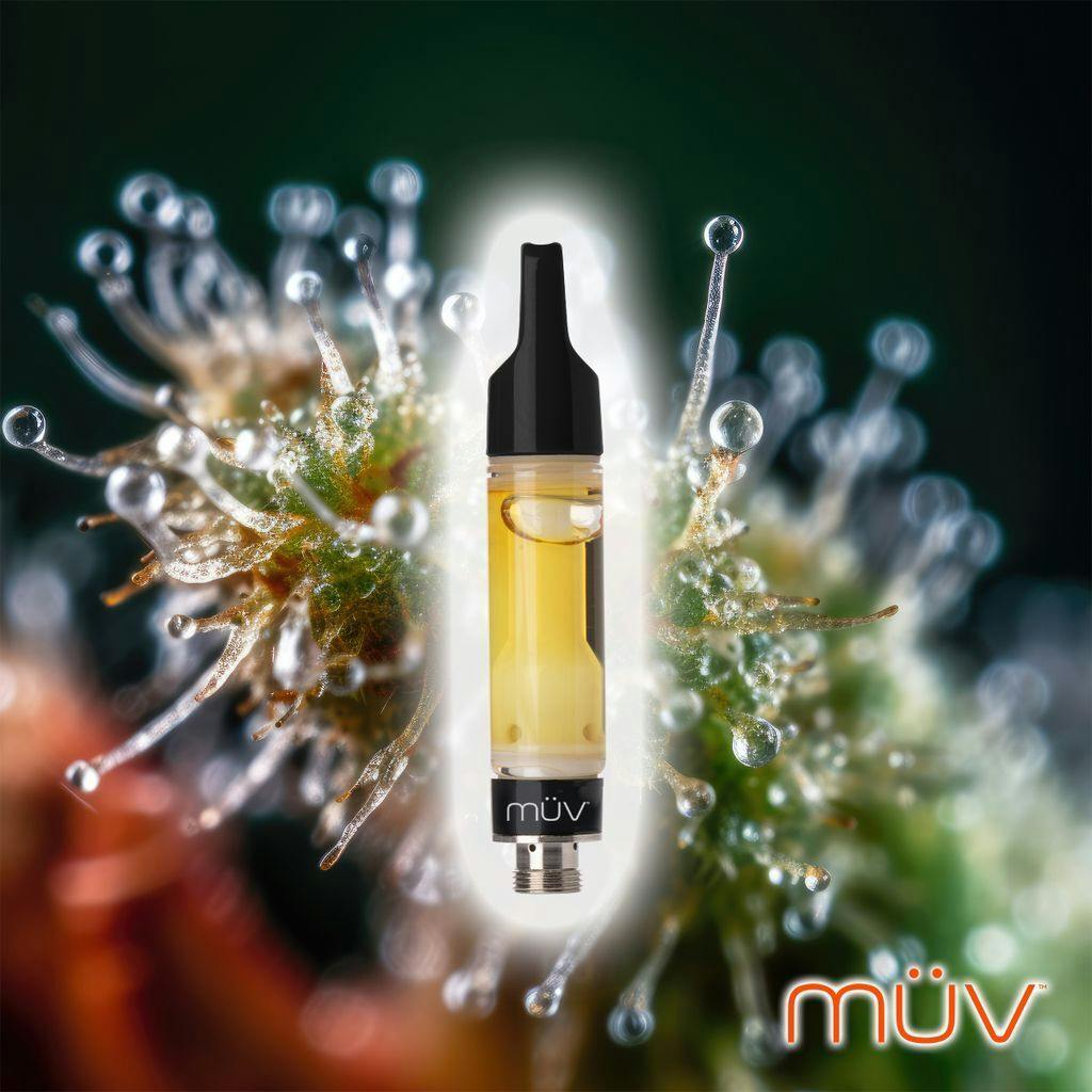 MÜV Cannabis Infused Products - MUV Live Resin Vape - 0.5g - Boston Cream - 1