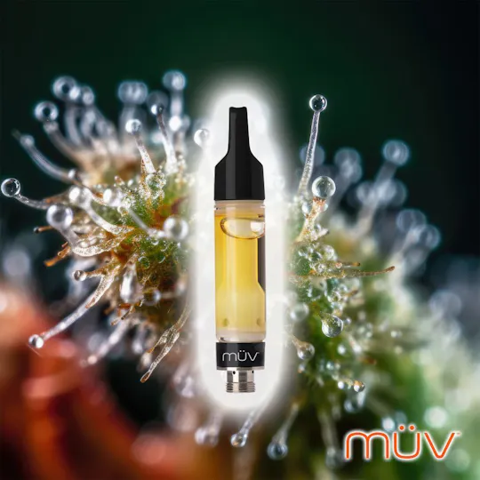 MÜV Cannabis Infused Products - MUV Live Resin Vape - 0.5g - Wino #9 - 1