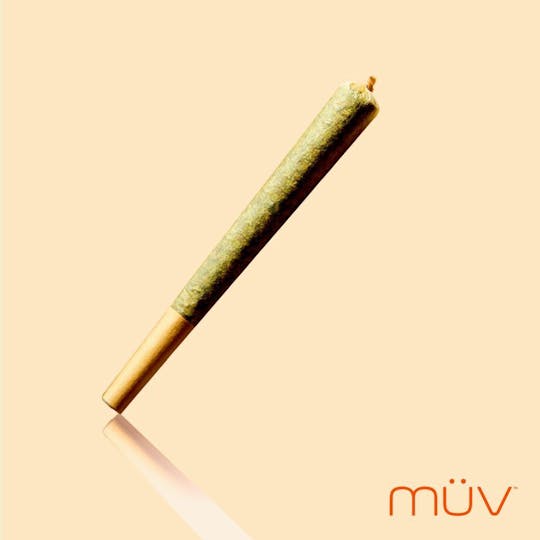 MÜV Cannabis Infused Products - MUV Pre Roll - 0.7g - Black Thai - 1