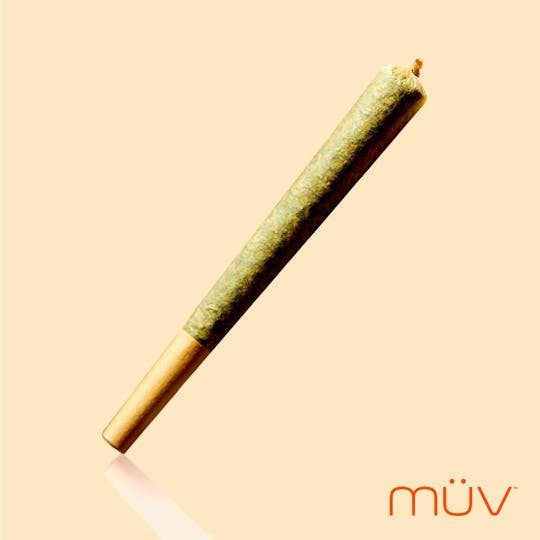 MÜV Cannabis Infused Products - MUV Pre Roll - 1g - Rotten Teeth - 1