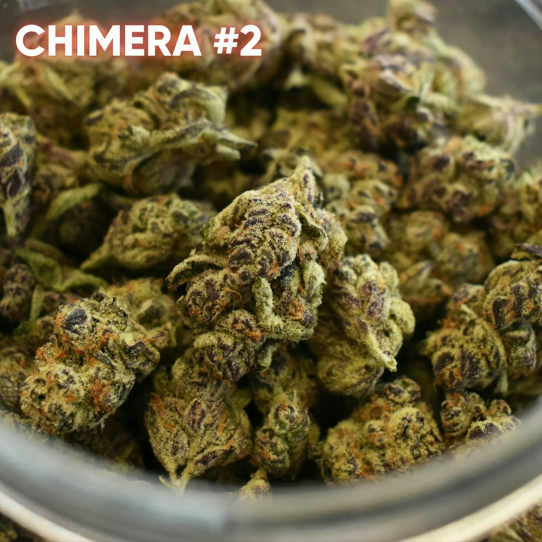 Kind Love Brand - Kind Love | Chimera #2 | Big Buds | 14g - 1