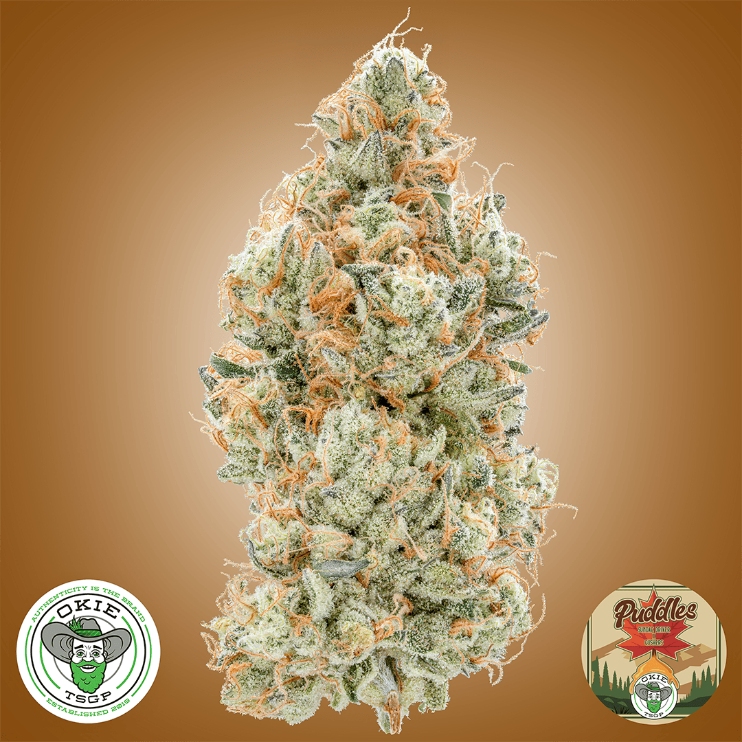 Okie TSGP - Puddles #3 - 3.5g Prepack Flower - 1