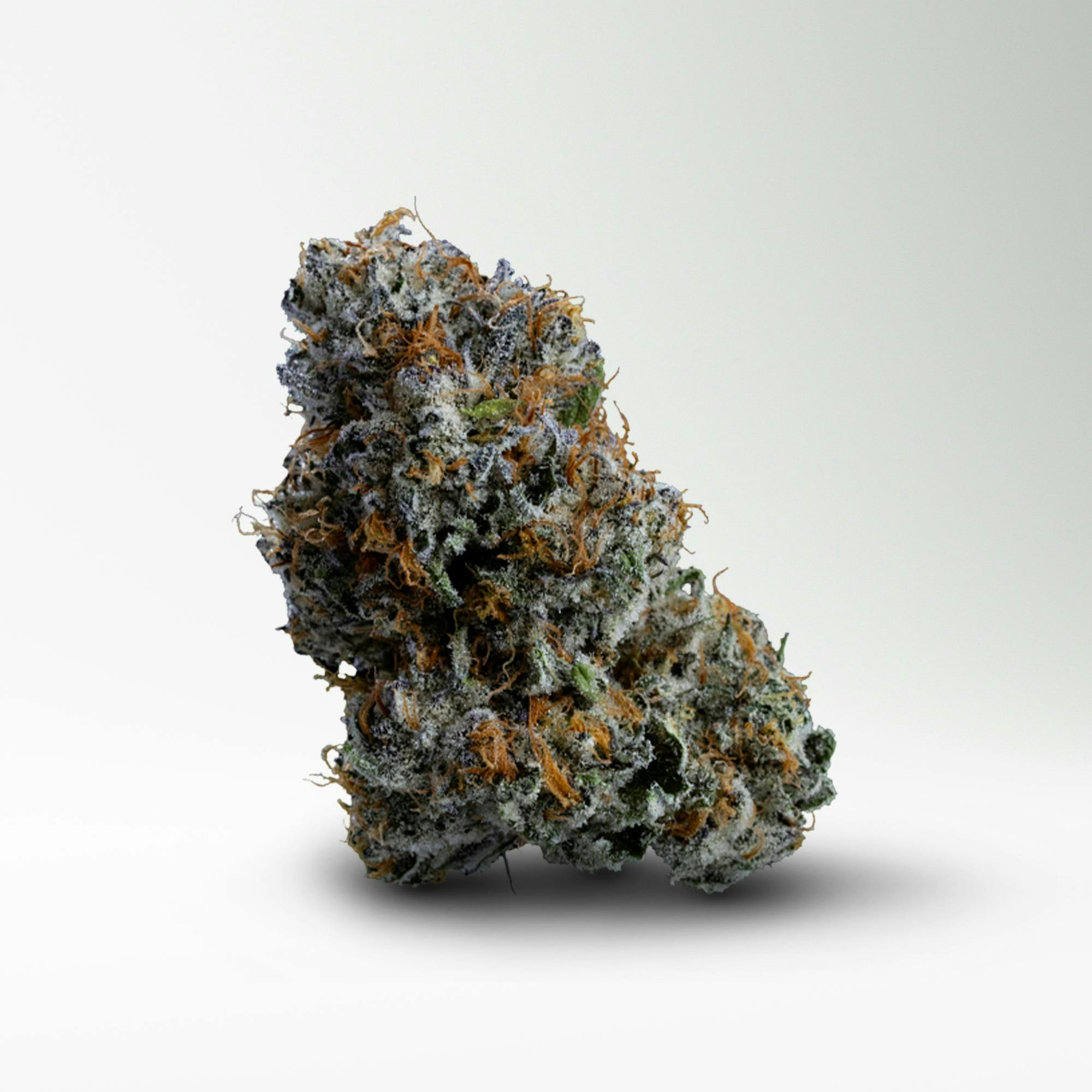 Wood Wide - Wood Wide | Planetary Charms | Big Buds | 3.5g - 1