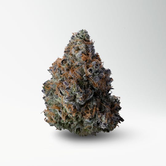 Wood Wide - NeonZ - 1