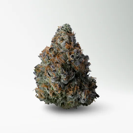 Wood Wide - Wood Wide | NeonZ | Big Buds | 3.5g - 1