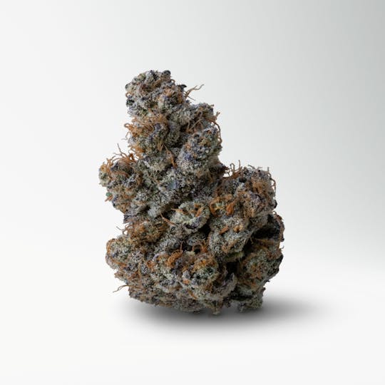 Wood Wide - Mendo Crumble - 1