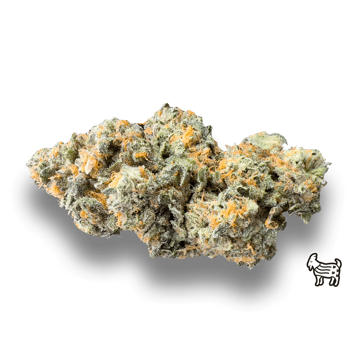 The Laughing Goat - VANILLA FROSTY | BIG BUDS | 3.5G - 1