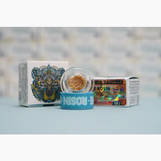 Bear Labs - BEAR Labs - Papaya Rancher - Rosin Tier 3 - 1