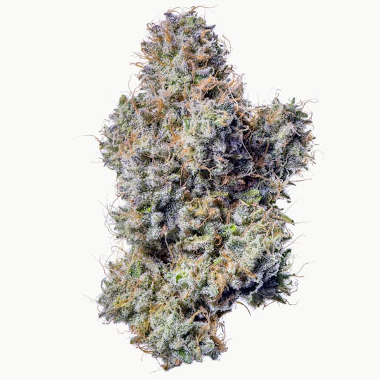 Fig Farms - Z Type-S - 1