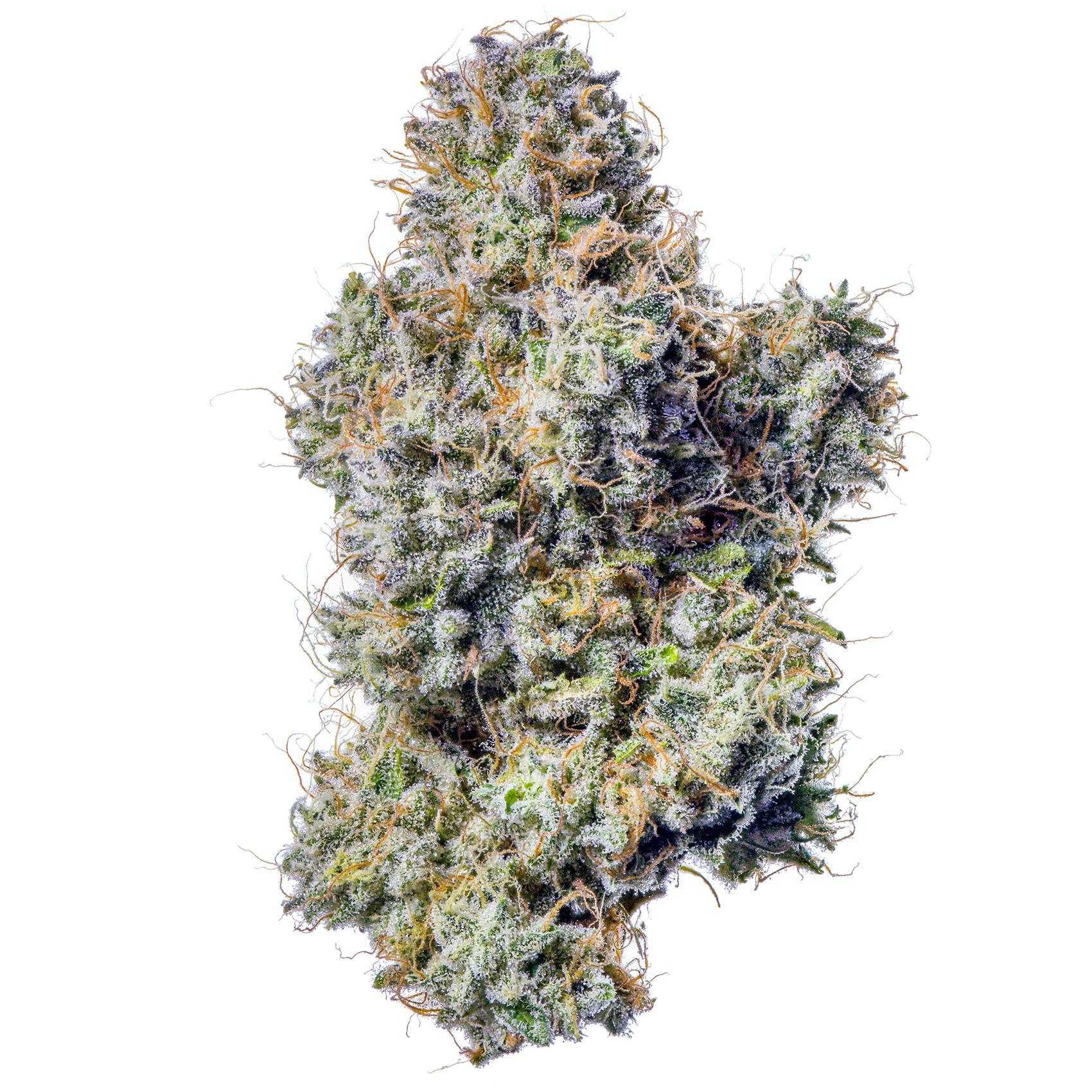 Fig Farms - Fig Farms | Z Type-S | Big Buds - 1