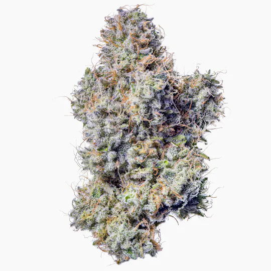 Fig Farms - Fig Farms | Z Type-S | Big Buds - 1