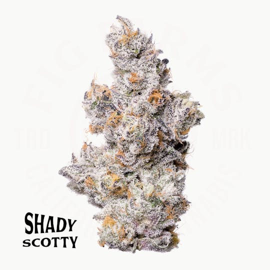Fig Farms - Shady Scotty - 1
