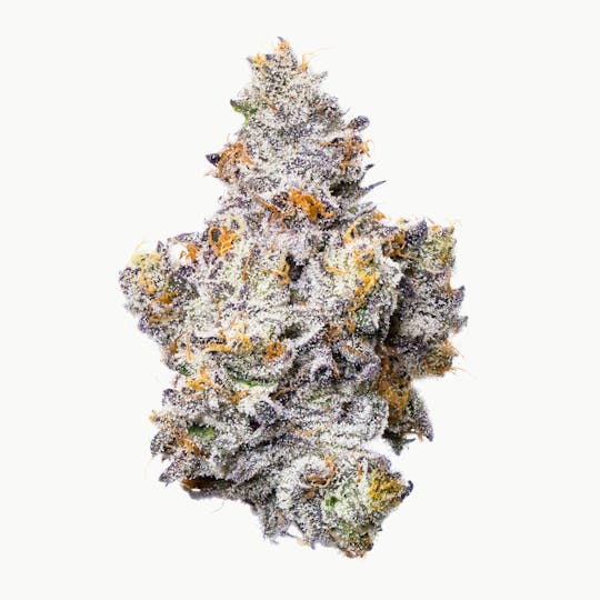 Fig Farms - Shady Scotty - 1