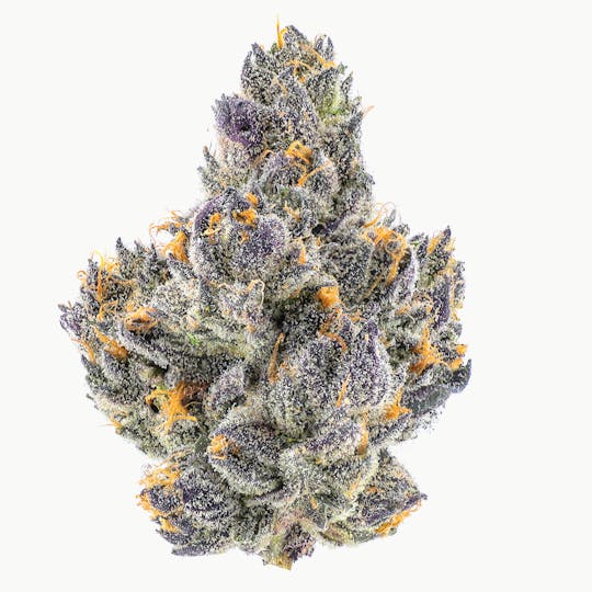 Fig Farms - Cherry Martinelli - 1