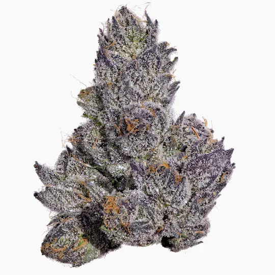 Fig Farms - Fig Farms | Cherry Martinelli | Big Buds - 1