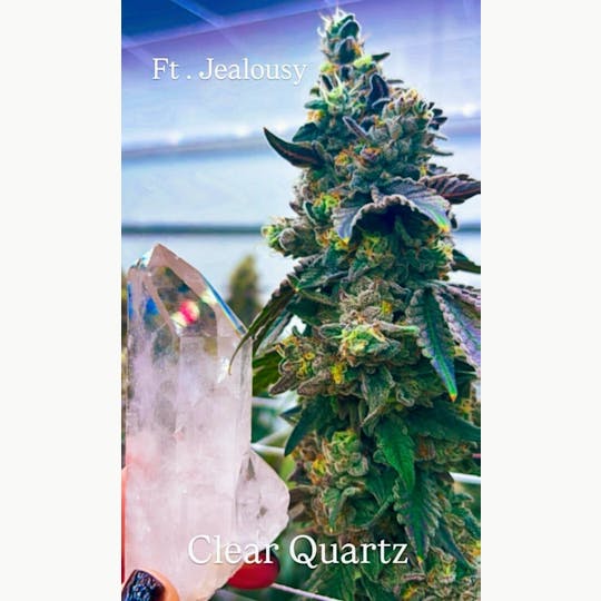 CENTRAL AVENUE NURSERY - Crystal Collection 3.5g Sativa - 1