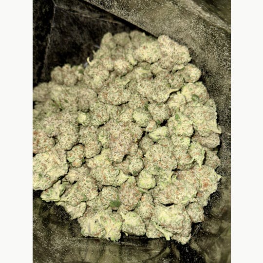 Egozi - Black Ice (MAC1 x Oreoz) - Slow Cured Flower - 33.12% - 1