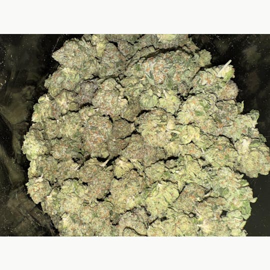 Egozi - Candy Fumez (Zkittlez x Sherbanger) - Slow Cured Flower - 23.19% - 1