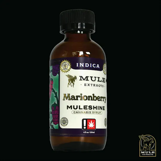 Mule Extracts - Mule Extracts | Marionberry Muleshine | Infused Syrup | 1000mg | 120ml - 1