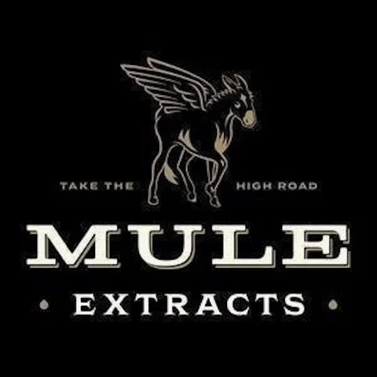 Mule Extracts - Cookie Mints x Pineapple Express | Infused Joint | 1g - 1