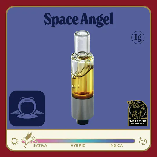 Mule Extracts - Mule Extracts | Space Angel | Live Resin Glass Cartridge | 1g - 1